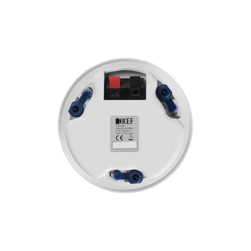 Back. KEF - Ci100.2QR Speaker - White.