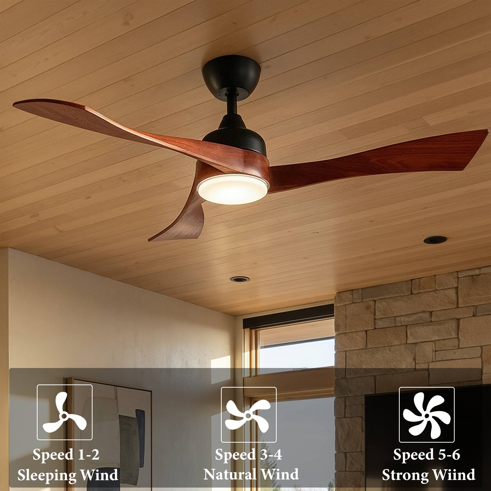 Speed 1-2 Sleeping Wind  
Speed 3-4 Natural Wind  
Speed 5-6 Strong Wind