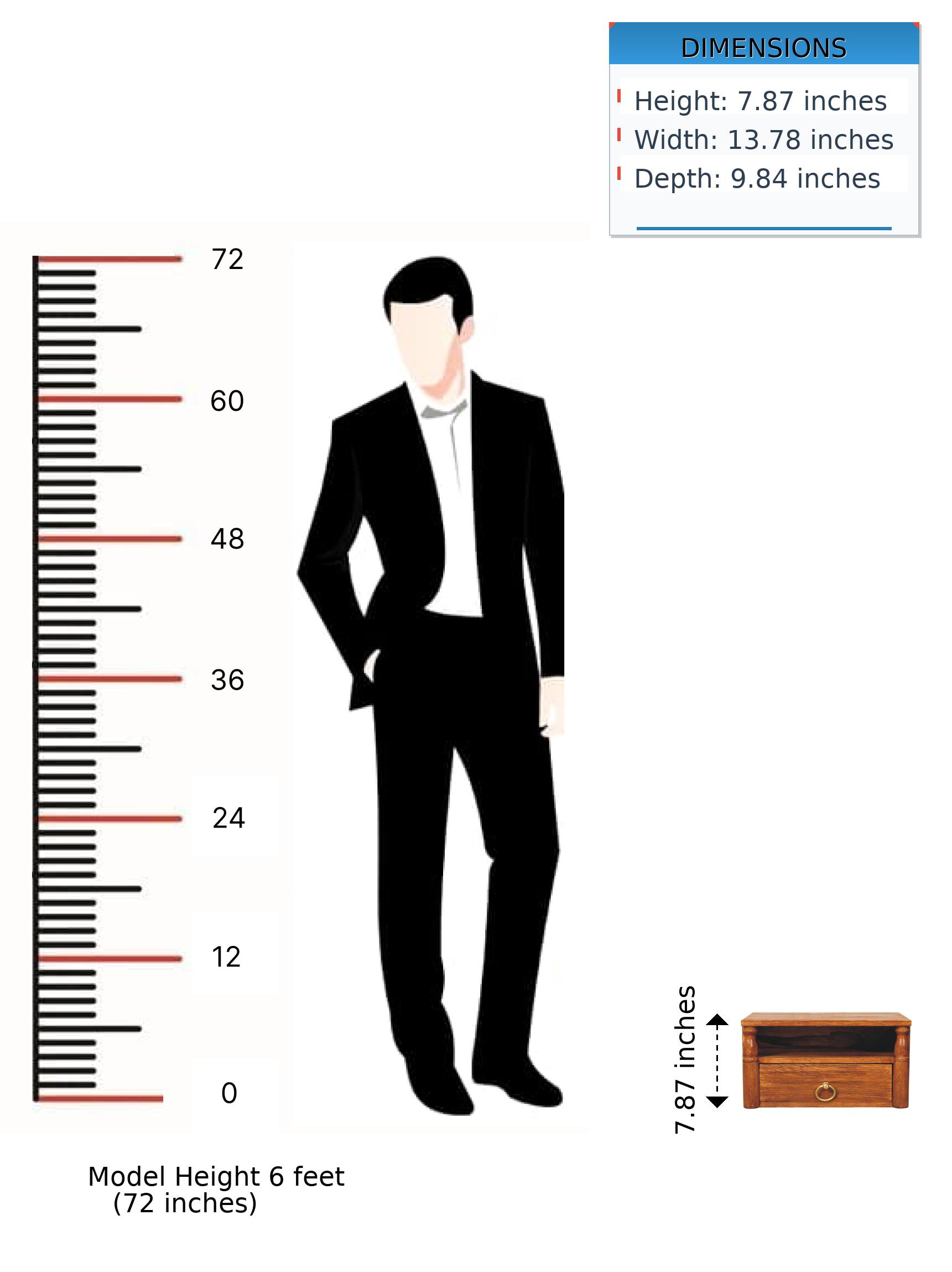 DIMENSIONS  
Height: 7.87 inches  
Width: 13.78 inches  
Depth: 9.84 inches  

Model Height: 6 feet (72 inches)