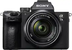 Mirrorless Cameras