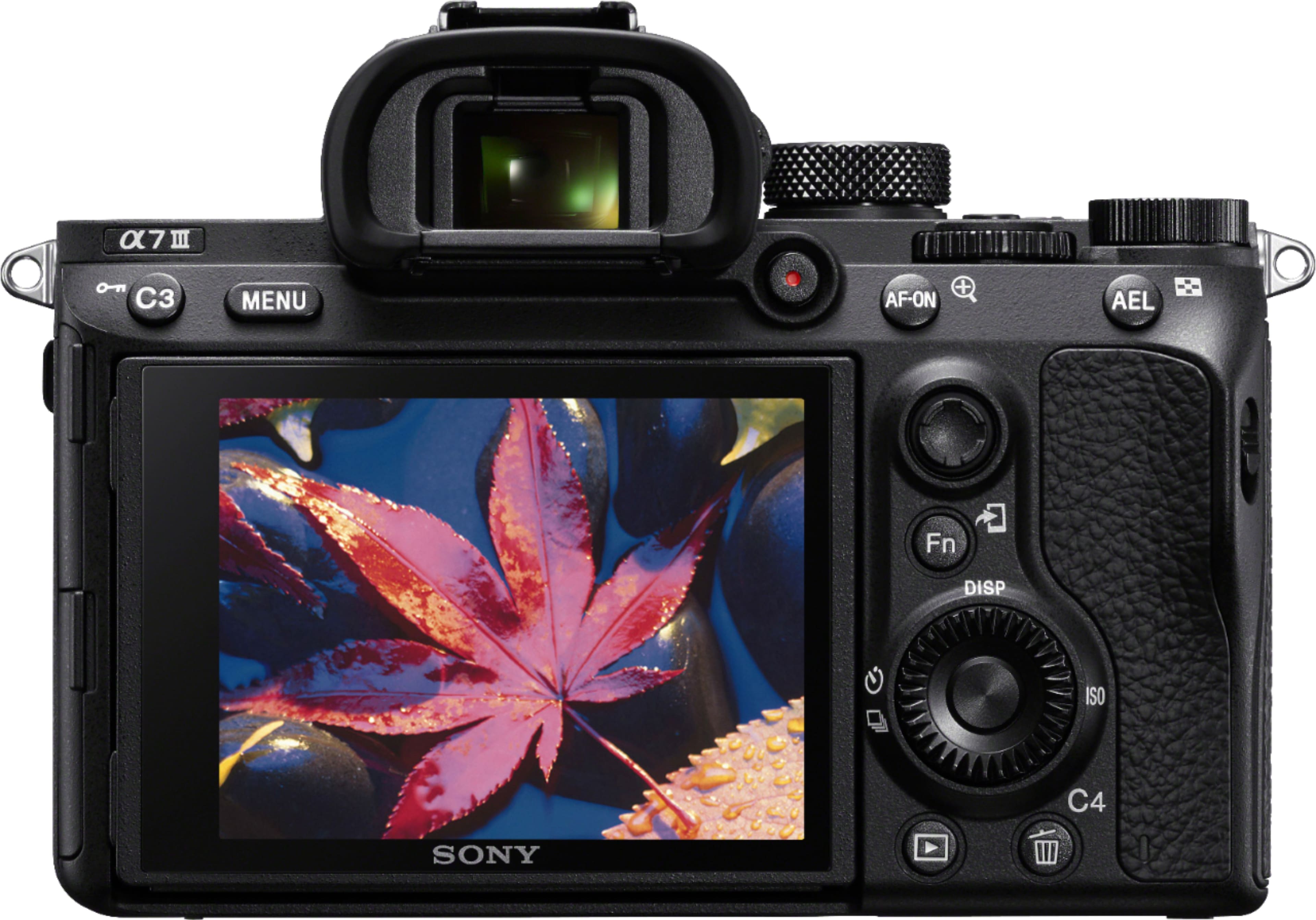 sony mirrorless camera 4k video