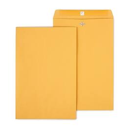 Staples - Clasp & Moistenable Glue Kraft Catalog Envelopes, 10"L x 15"H, 100/Box - Brown