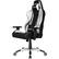 Left. AKRacing - Masters Series Premium Gaming Chair - Silver.