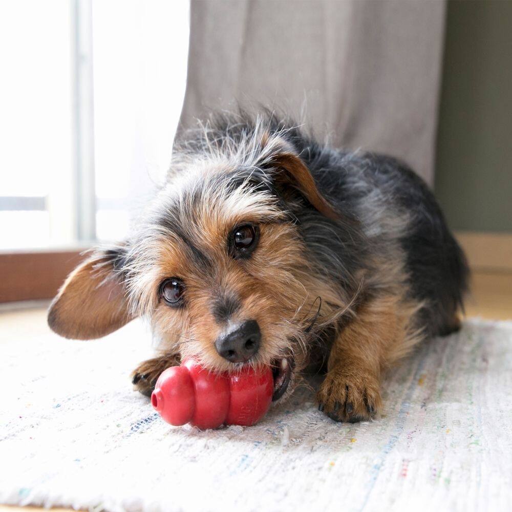 Back. KONG - Kong Classic Dog Toy in Classic X-Large - Red.