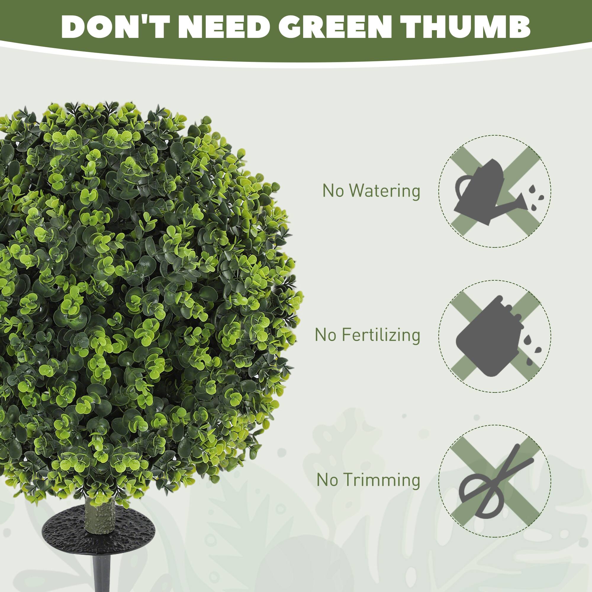 DON'T NEED GREEN THUMB

No Watering
No Fertilizing
No Trimming