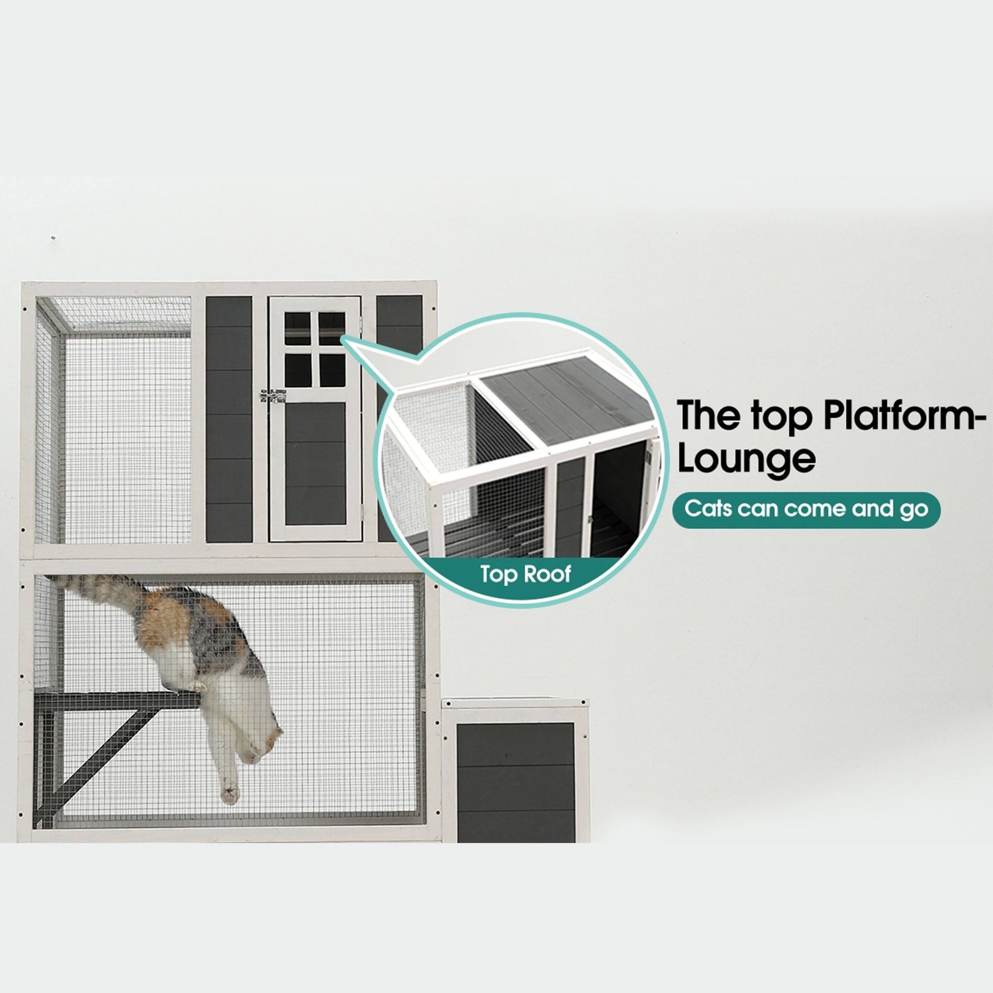 The top Platform-Lounge  
Cats can come and go  
Top Roof