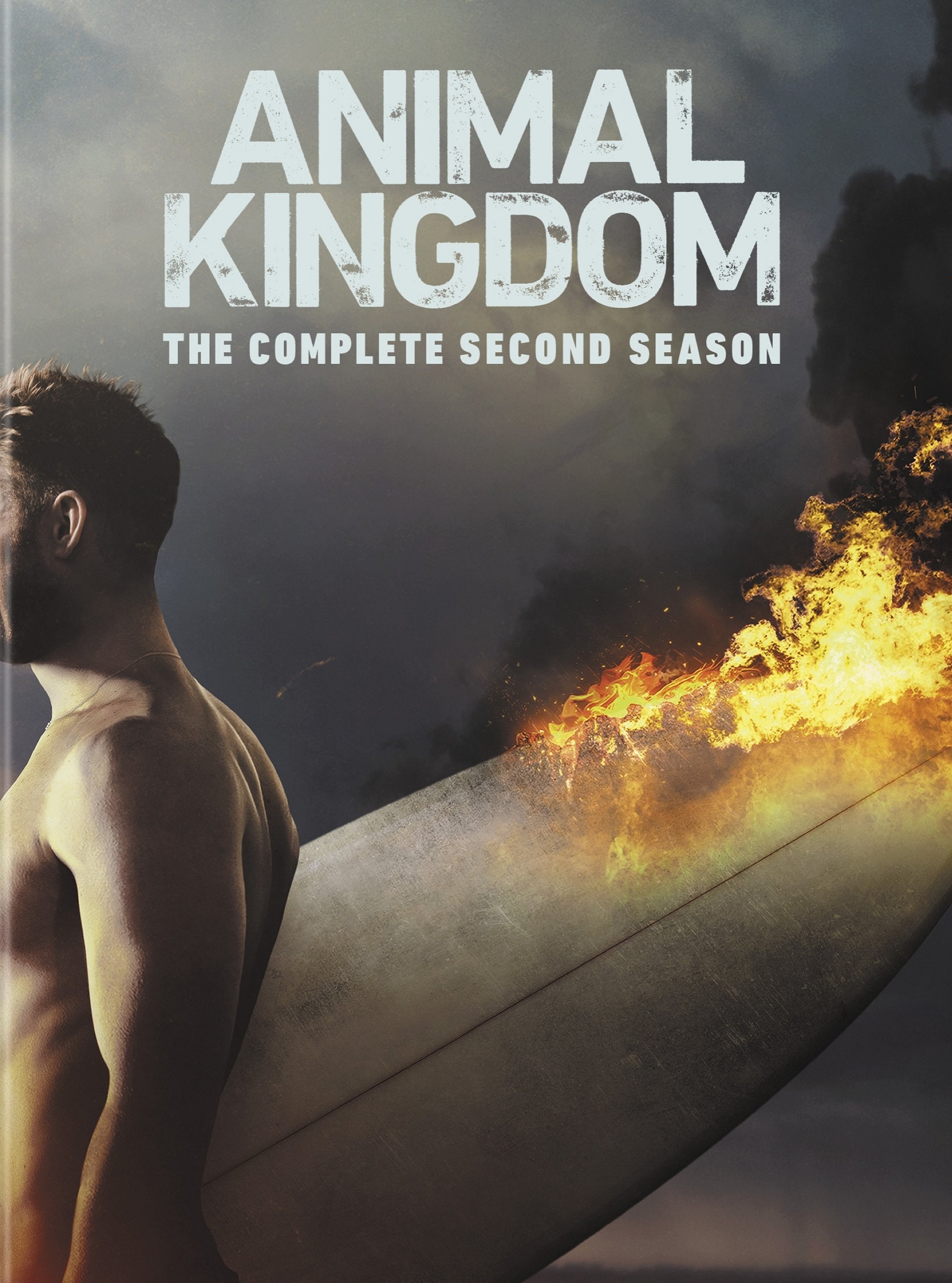 Animal Kingdom: The Complete Second Season - Best Buy