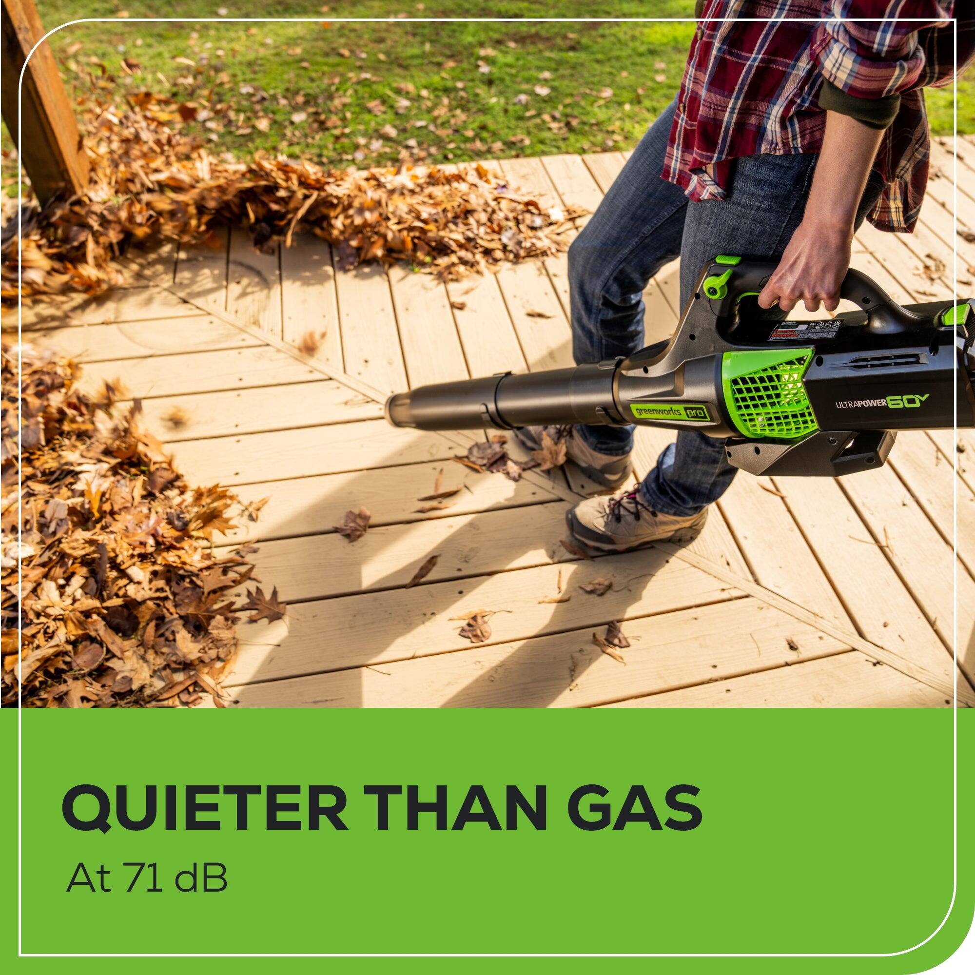 7008 Greenworks D SATRAPOWER 6Y QUIETER THAN GAS At 71 dB