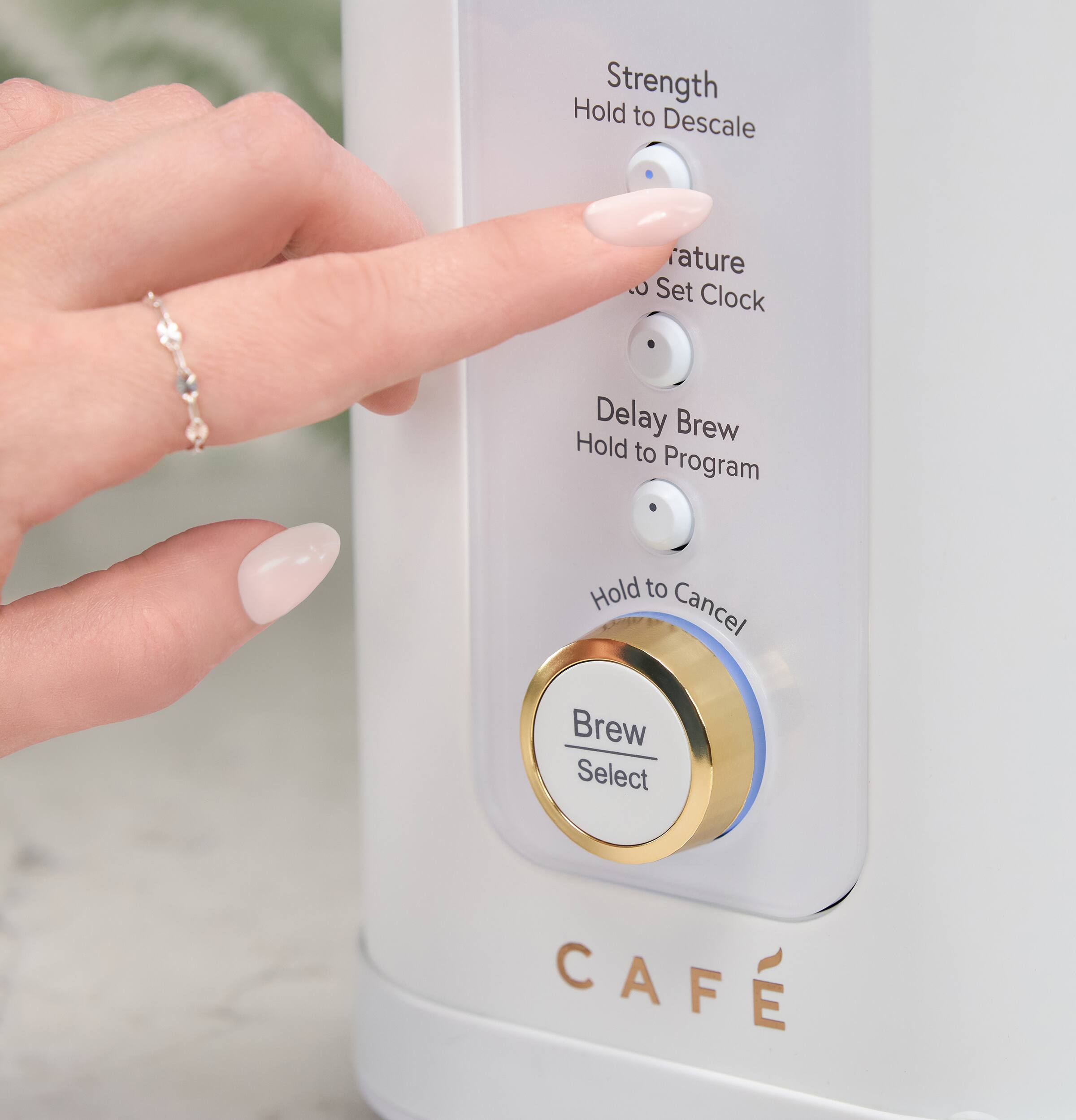 Strength  
Hold to Descale  

Temperature  
Hold to Set Clock  

Delay Brew  
Hold to Program  

Hold to Cancel  

Brew Select  

CAFÉ