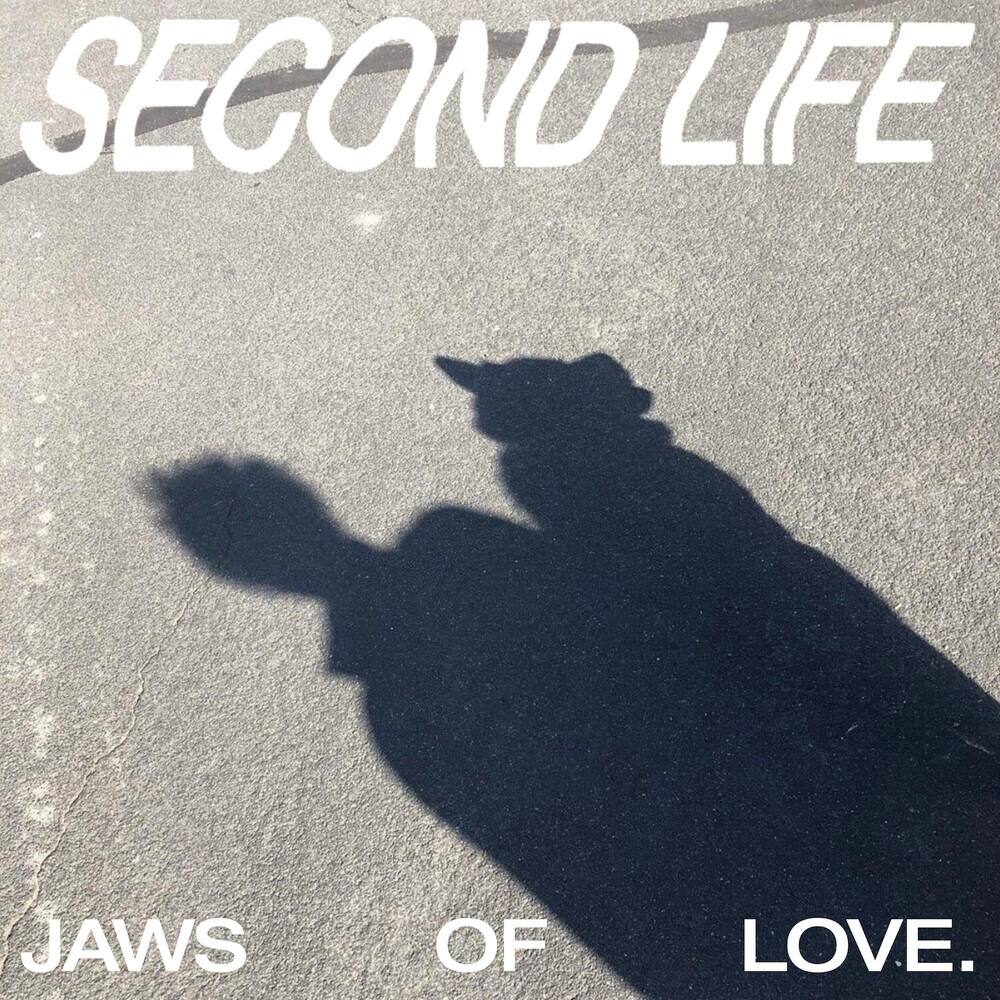 Front. Second Life [LP].