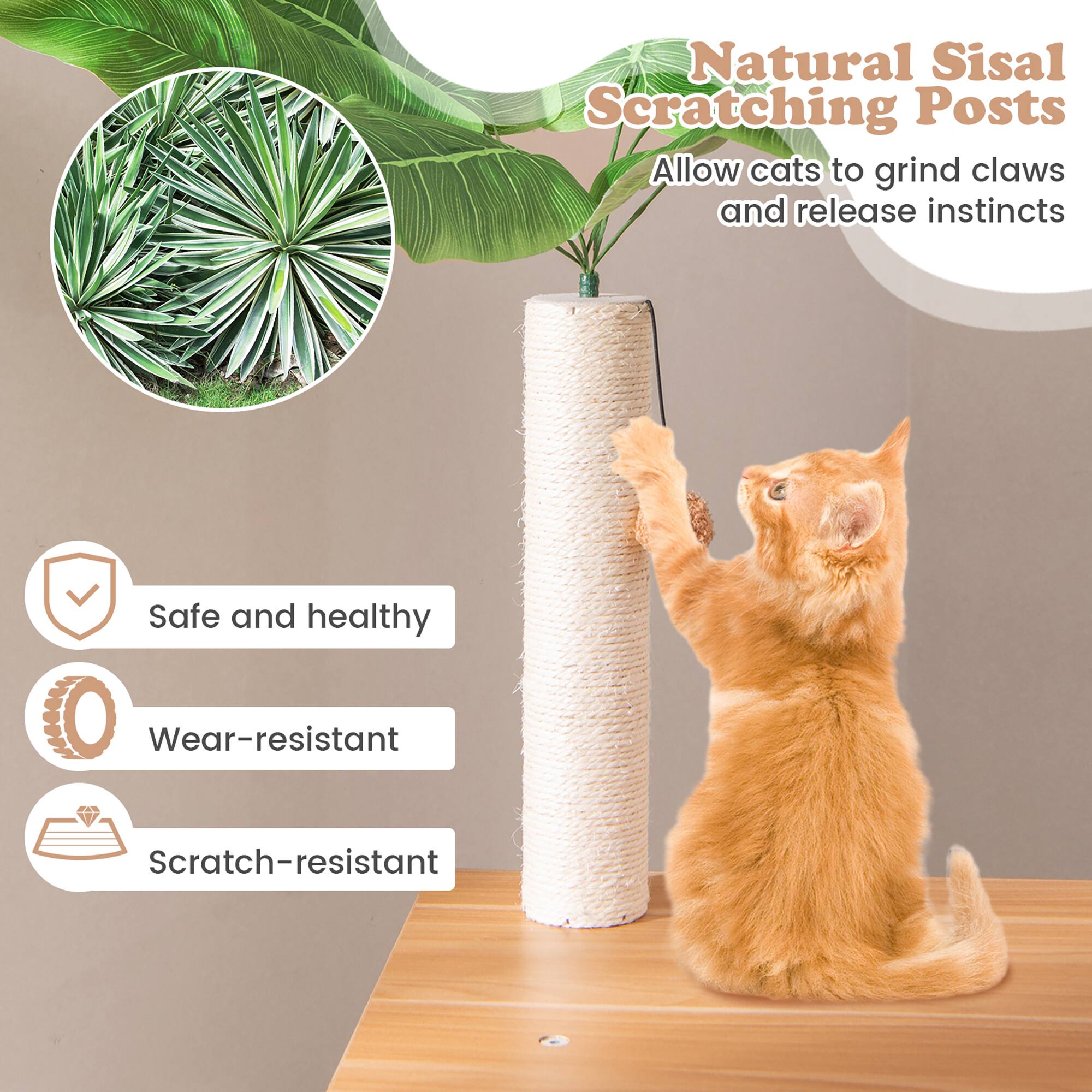 Natural Sisal Scratching Posts  
Allow cats to grind claws and release instincts  

- Safe and healthy  
- Wear-resistant  
- Scratch-resistant