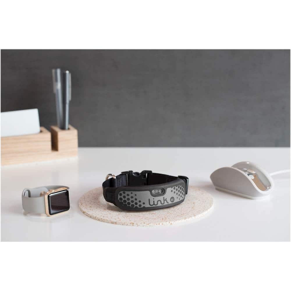 Best Buy LINK AKC Smart Dog Sports Collar (Medium) Gray KITSV02