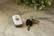 Alt View 13. Medical Guardian - Active Guardian Medical Alert System - white.