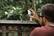 Alt View 12. Arlo - Refurbished Pro Indoor/Outdoor 720p Wi-Fi Wire-Free Security Camera - White.