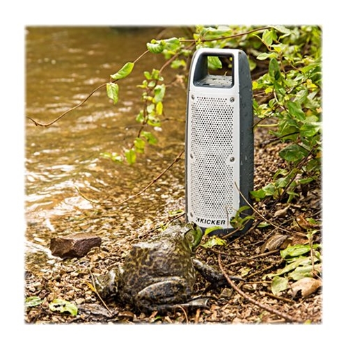 Gray Bullfrog Speaker, Outdoor Speaker