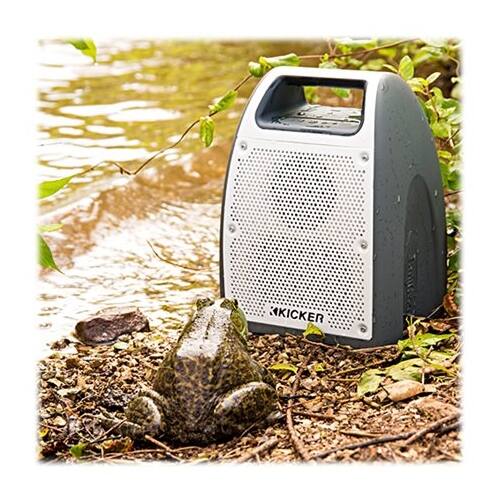 KICKER Bullfrog JUMP BF400 Portable Bluetooth Speaker Gray 43BF400GY - Best  Buy