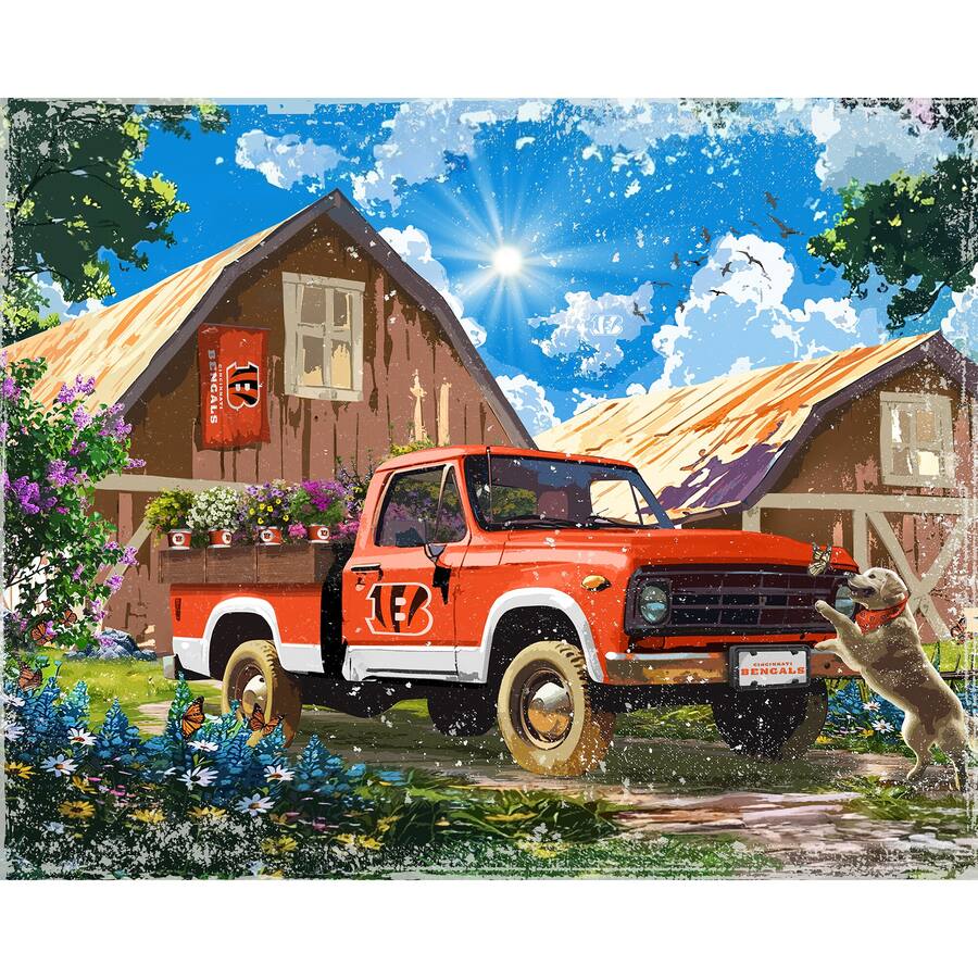 Sporticulture Cincinnati Bengals 12