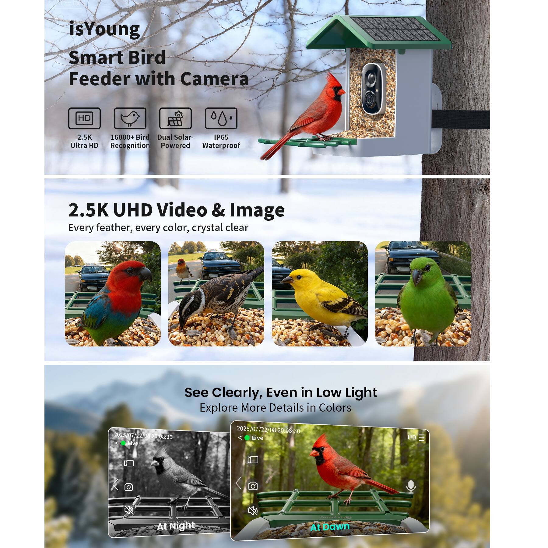 isYoung Smart Bird Feeder with Camera

- 2.5K Ultra HD
- 16000+ Bird Recognition
- Dual Solar-Powered
- IP65 Waterproof

2.5K UHD Video & Image
Every feather, every color, crystal clear

See Clearly, Even in Low Light
Explore More Details in Colors

At Night
At Dawn