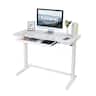 FlexiSpot - EW8 Electric 48"W Electric Height-Adjustable Standing Desk - White