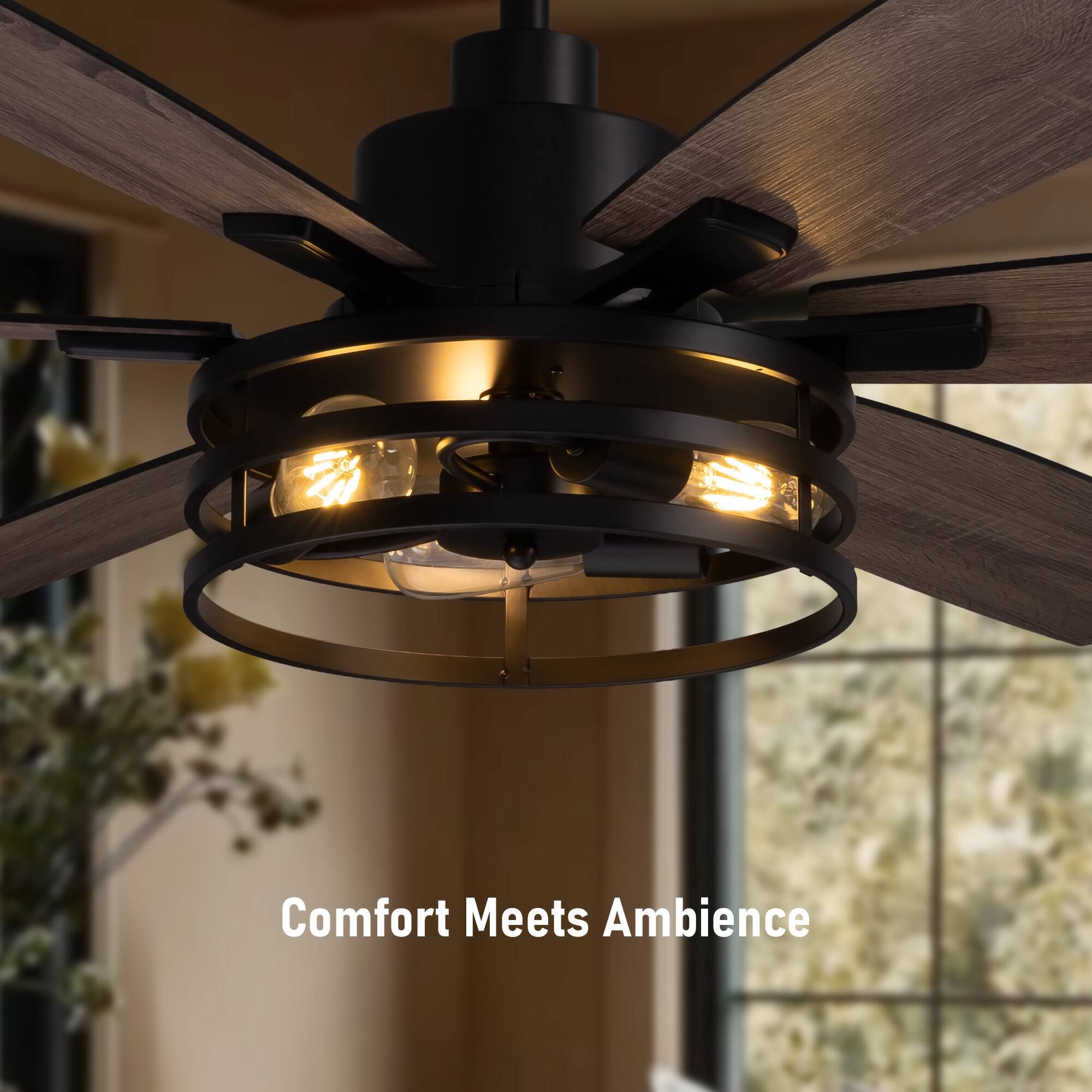 Comfort Meets Ambience