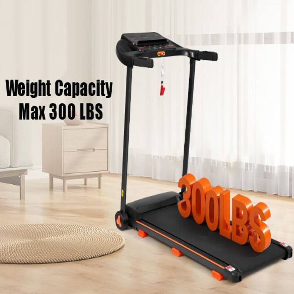 Weight Capacity Max 300 LBS
