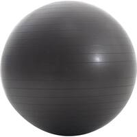 ProForm - 29.5" Exercise Ball - Black - Front_Zoom