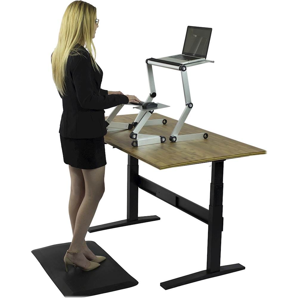 Best Buy: Uncaged Ergonomics WorkEZ Standing Desk Silver WESDSFAN