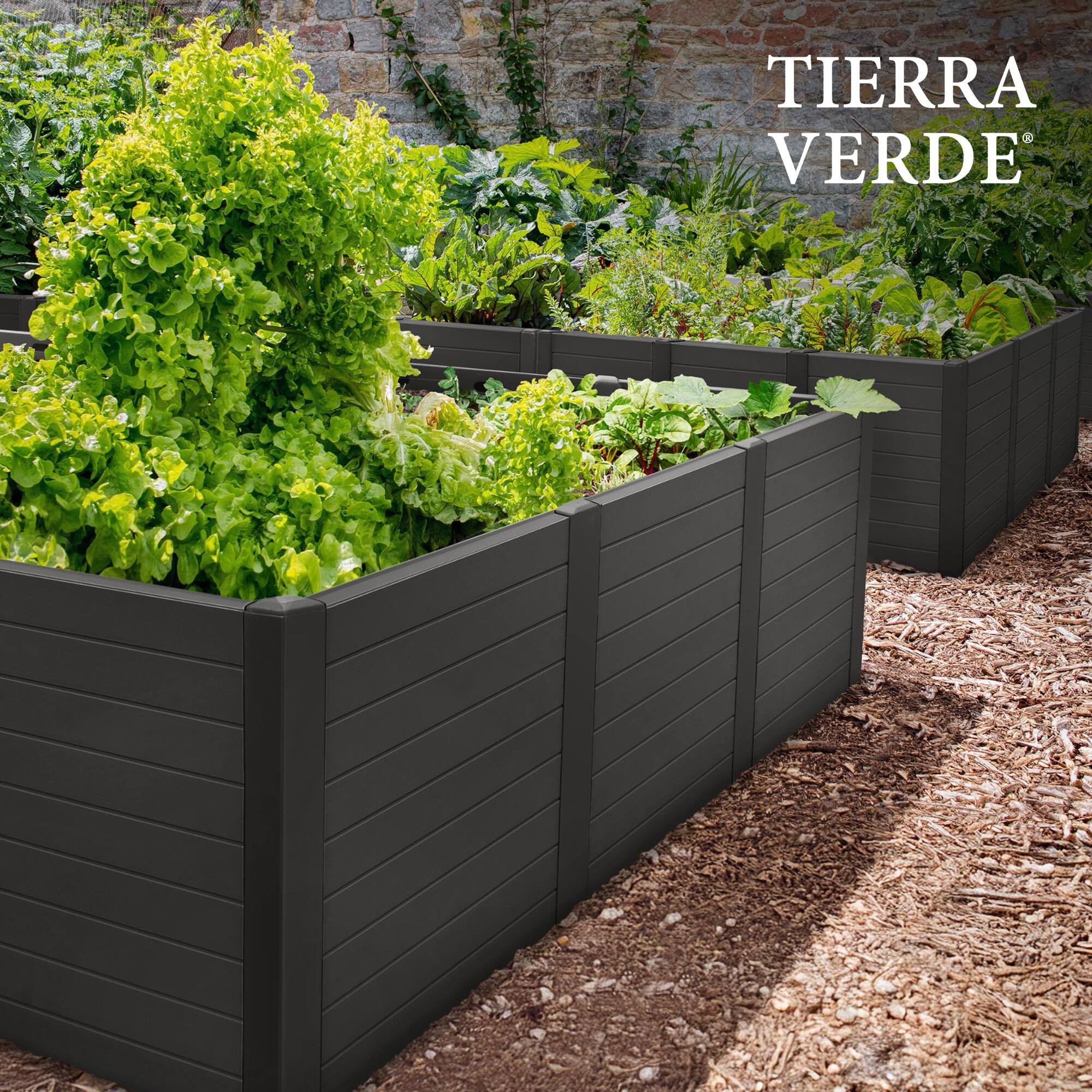 TIERRA VERDE