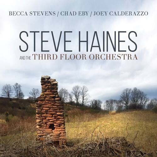 Steve Haines - Steve Haines And The Third Floor Orchestra   - COMPACT DISCS [CD] price history on PriceWatchPro