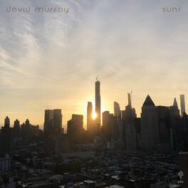 David Murray - Sun/Moon - VINYL LP
