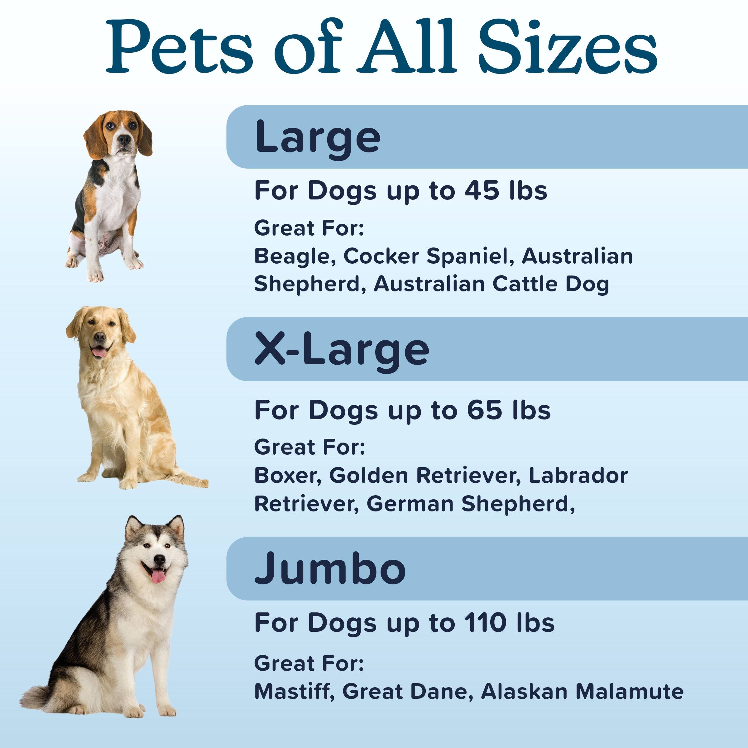 Pets of All Sizes

Large  
For Dogs up to 45 lbs  
Great For: Beagle, Cocker Spaniel, Australian Shepherd, Australian Cattle Dog

X-Large  
For Dogs up to 65 lbs  
Great For: Boxer, Golden Retriever, Labrador Retriever, German Shepherd

Jumbo  
For Dogs up to 110 lbs  
Great For: Mastiff, Great Dane, Alaskan Malamute