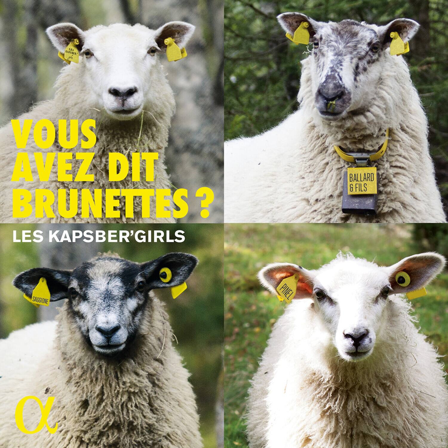 Various Artists - Vous Avez Dit Brunettes    - COMPACT DISCS [CD]