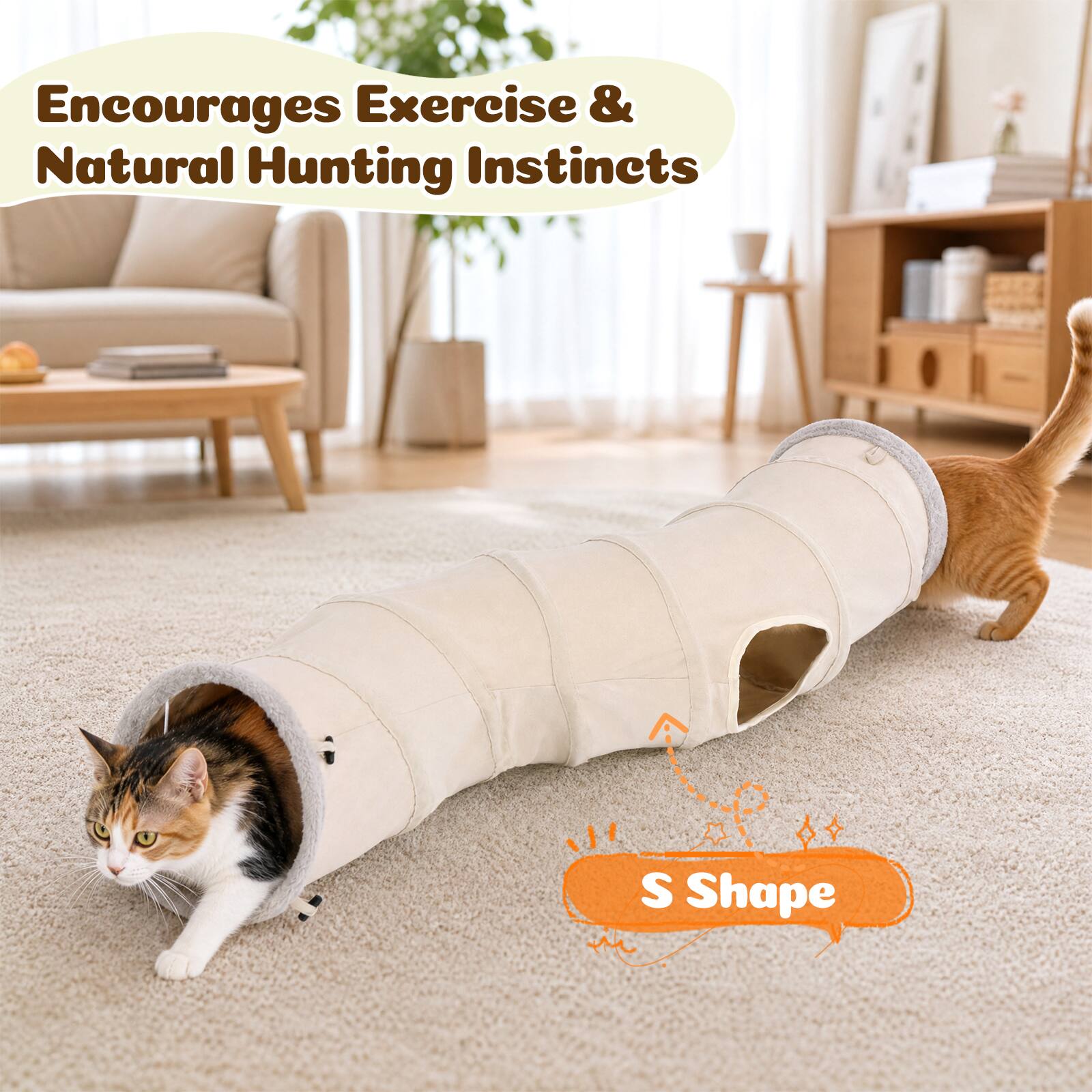 Encourages Exercise & Natural Hunting Instincts  
S Shape