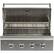 Alt View 13. Coyote - C-Series 35.5" Built-In Gas Grill - Stainless Steel.