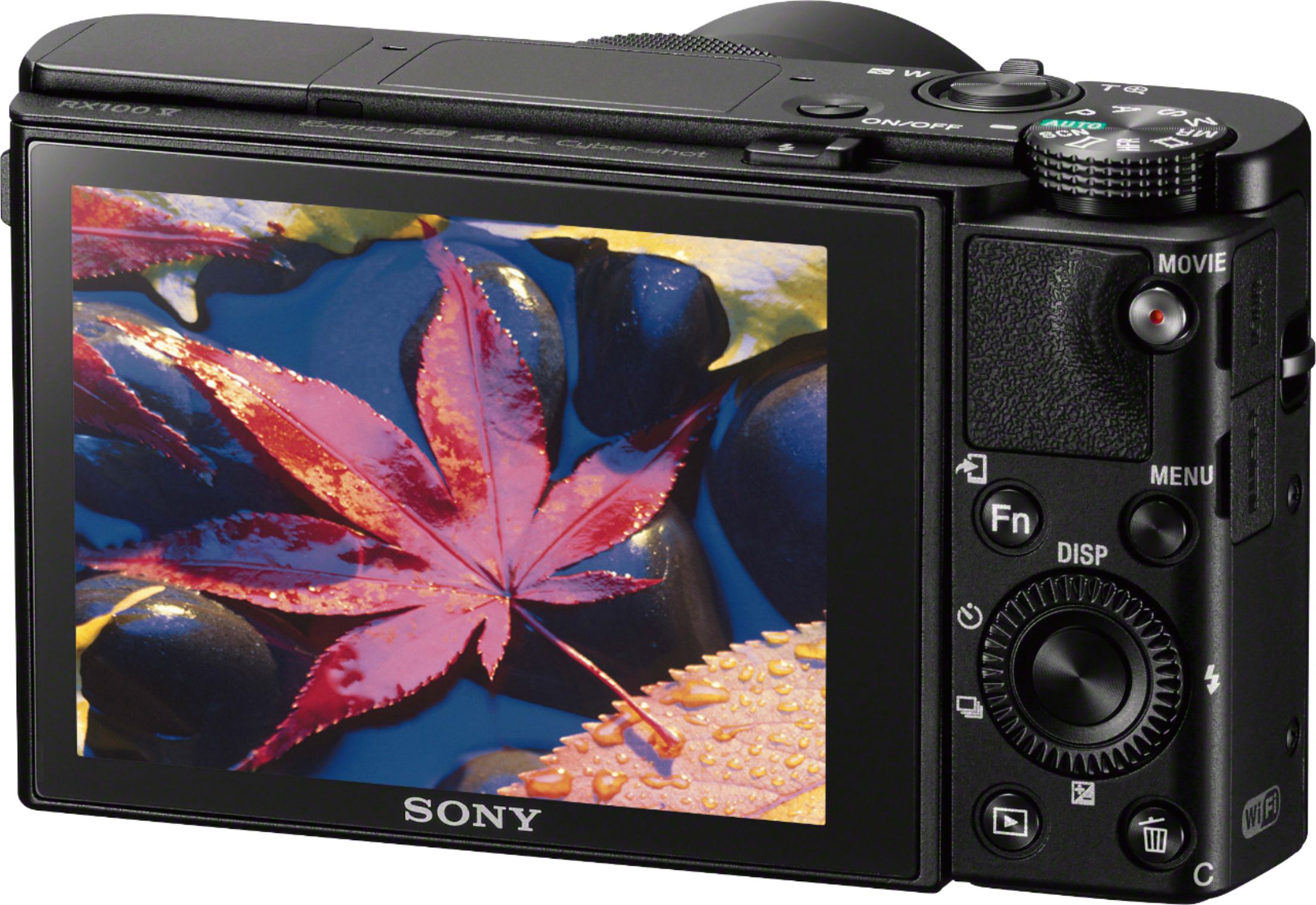 Sony Cyber-shot DSC-RX100 V 20.1-Megapixel Digital Camera Black 
