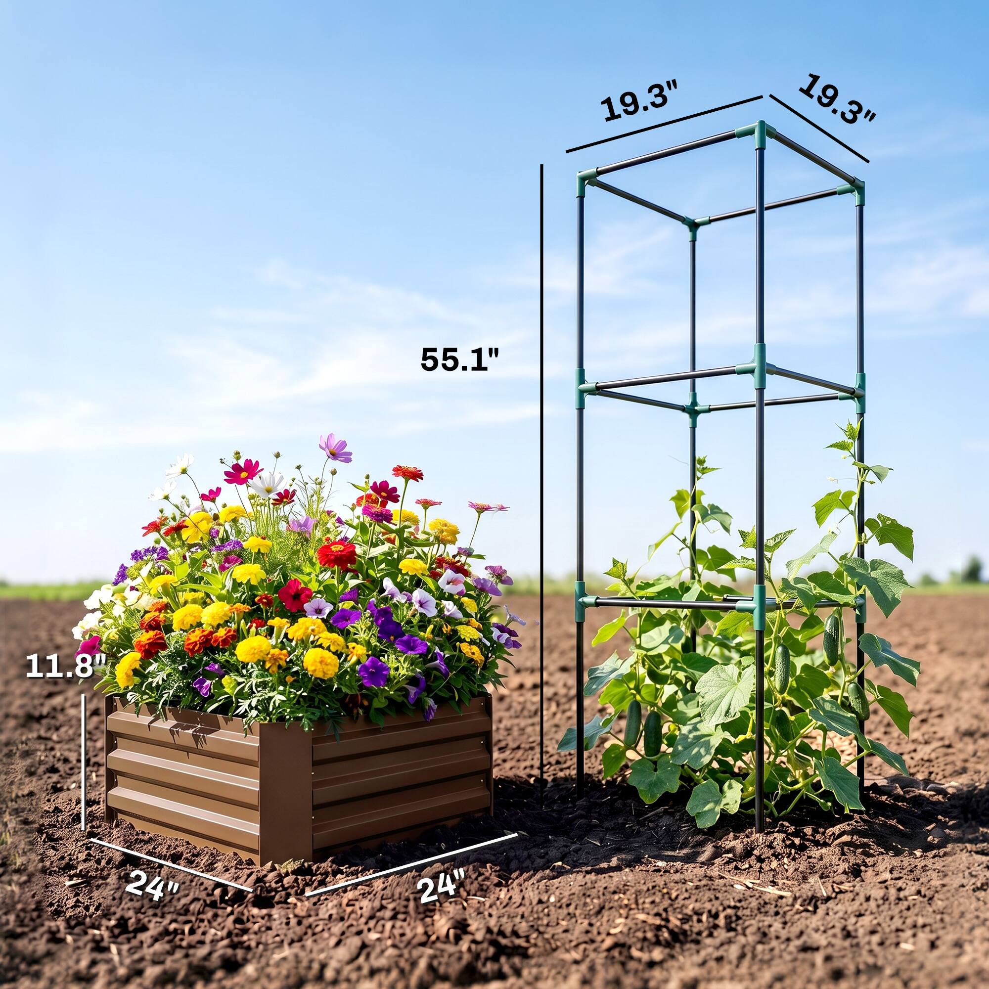 19.3"  
19.3"  
55.1"  
11.8"  
24"  
24"