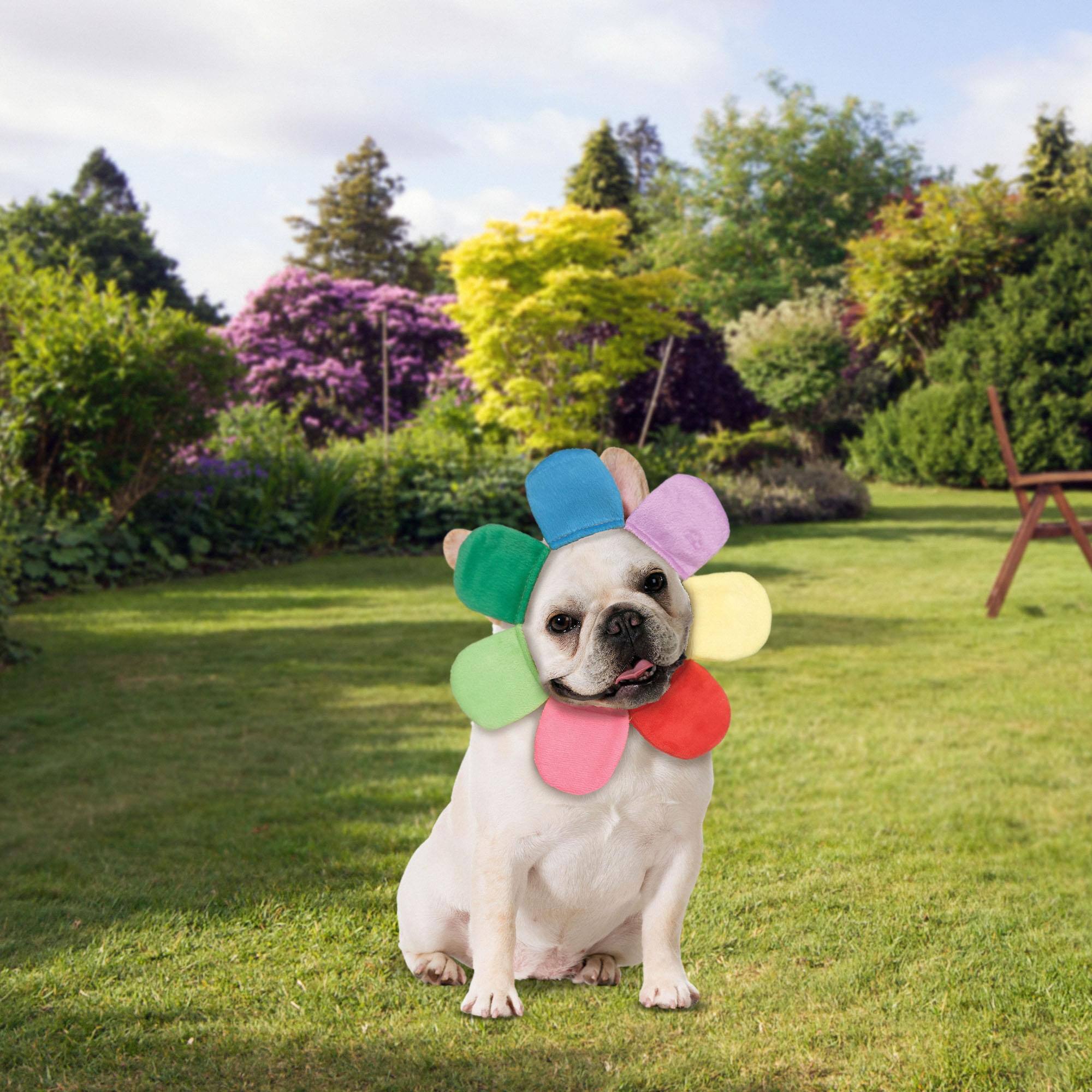 Alt View 10. Funworld - Flower Petal Hood Pet Costume | XS - Multi-Colored.