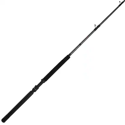 Front. PENN - Penn Ally II Straight Butt Conventional Boat Rod, 7 Feet, Loads Up To 30 Pounds - Black with Gold accents.