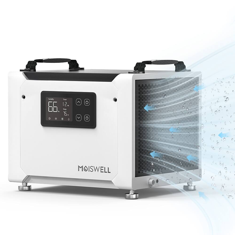 Marey & Ter 12. | 5. Sery T 5 12 MOISWELL