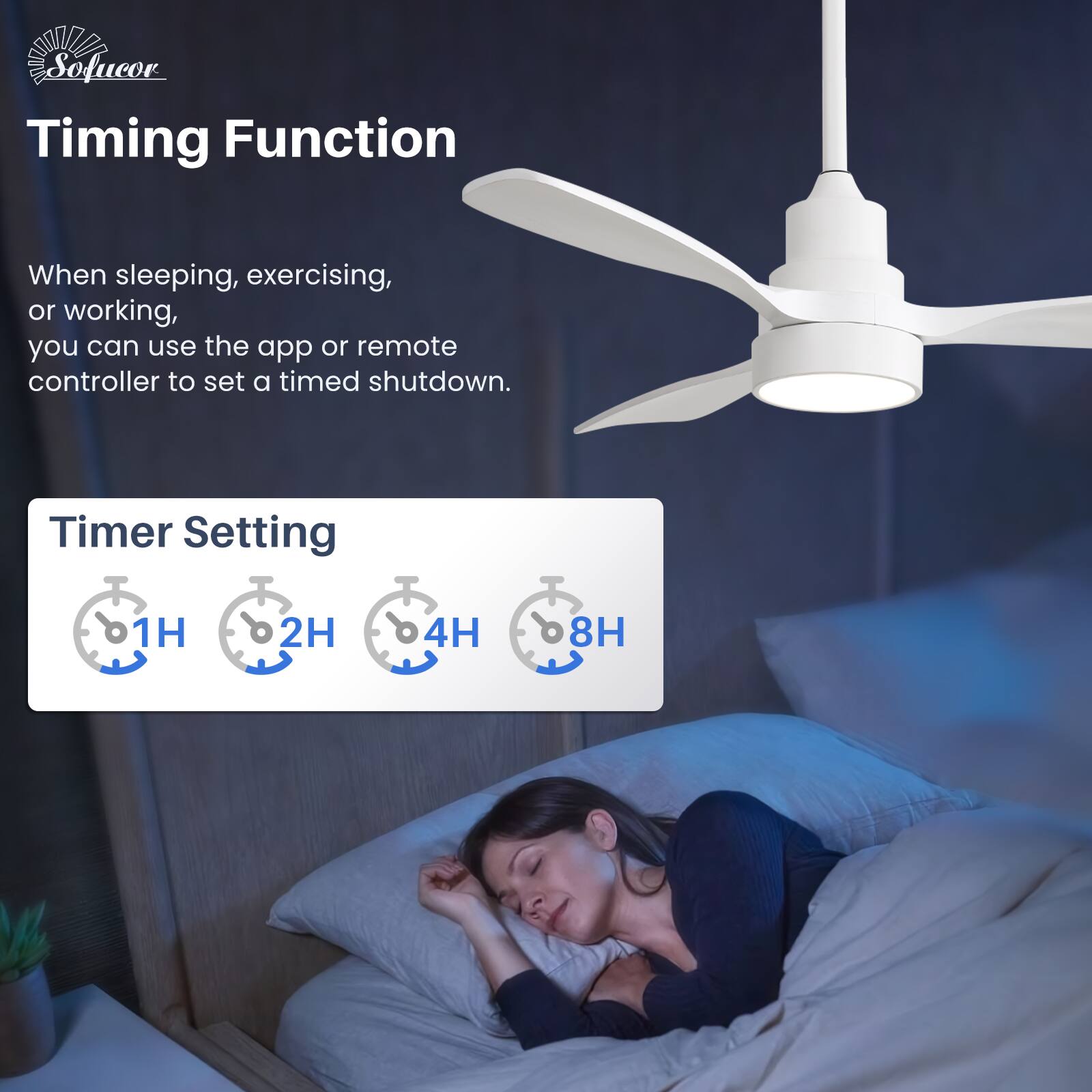 Timing Function

When sleeping, exercising, or working, you can use the app or remote controller to set a timed shutdown.

Timer Setting

1H 2H 4H 8H