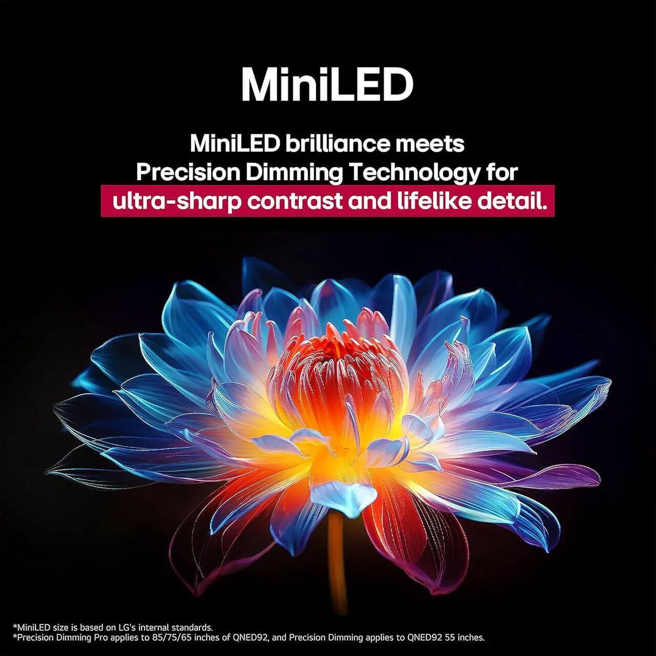 MiniLED brilliance meets Precision Dimming Technology for ultra-sharp contrast and lifelike detail.

*MiniLED size is based on LG's internal standards.
*Precision Dimming Pro applies to 85/75/65 inches of QNED92, and Precision Dimming applies to QNED92 55 inches.