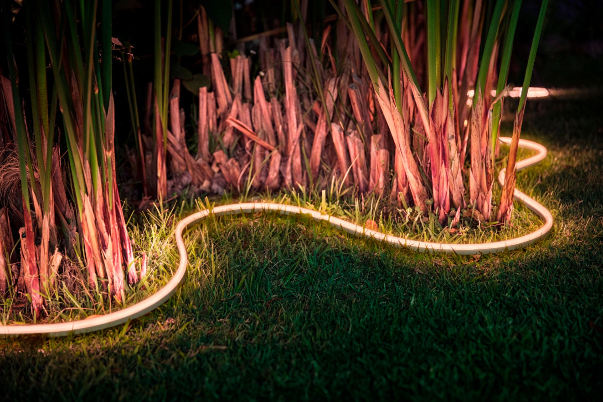 Philips HUE Outdoor 2m/5m Lightstrip – A&S Lighting and Curtain Gallery