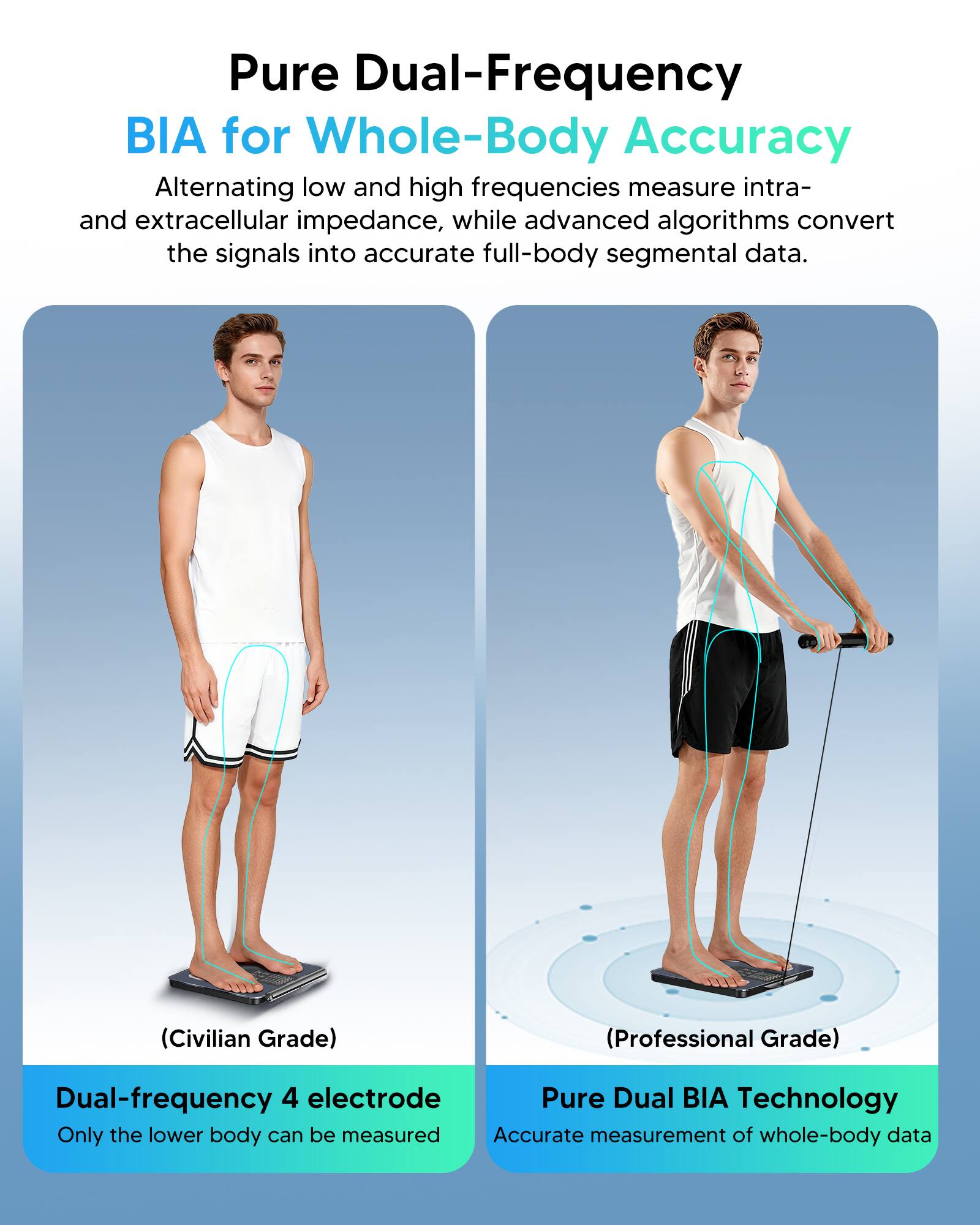 Pure Dual-Frequency BIA for Whole-Body Accuracy

Alternating low and high frequencies measure intra- and extracellular impedance, while advanced algorithms convert the signals into accurate full-body segmental data.

(Civilian Grade) (Professional Grade)

Dual-frequency 4 electrode Pure Dual BIA Technology

Only the lower body can be measured

Accurate measurement of whole-body data