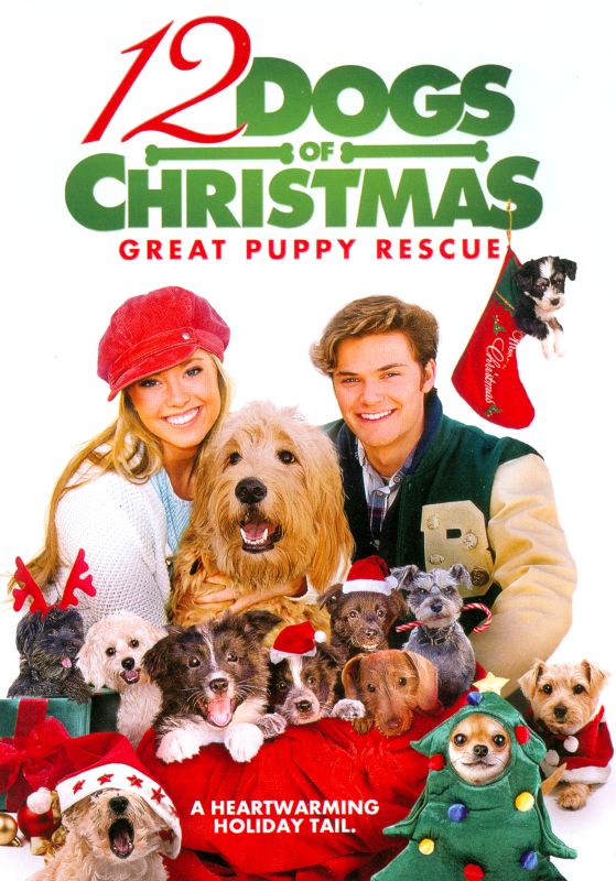 

12 Dogs of Christmas: Great Puppy Rescue [DVD] [2012]