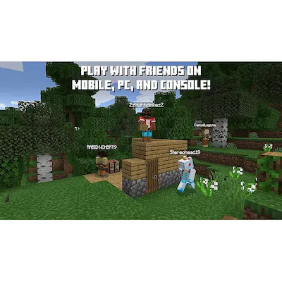 Pin Play Minecraft Free