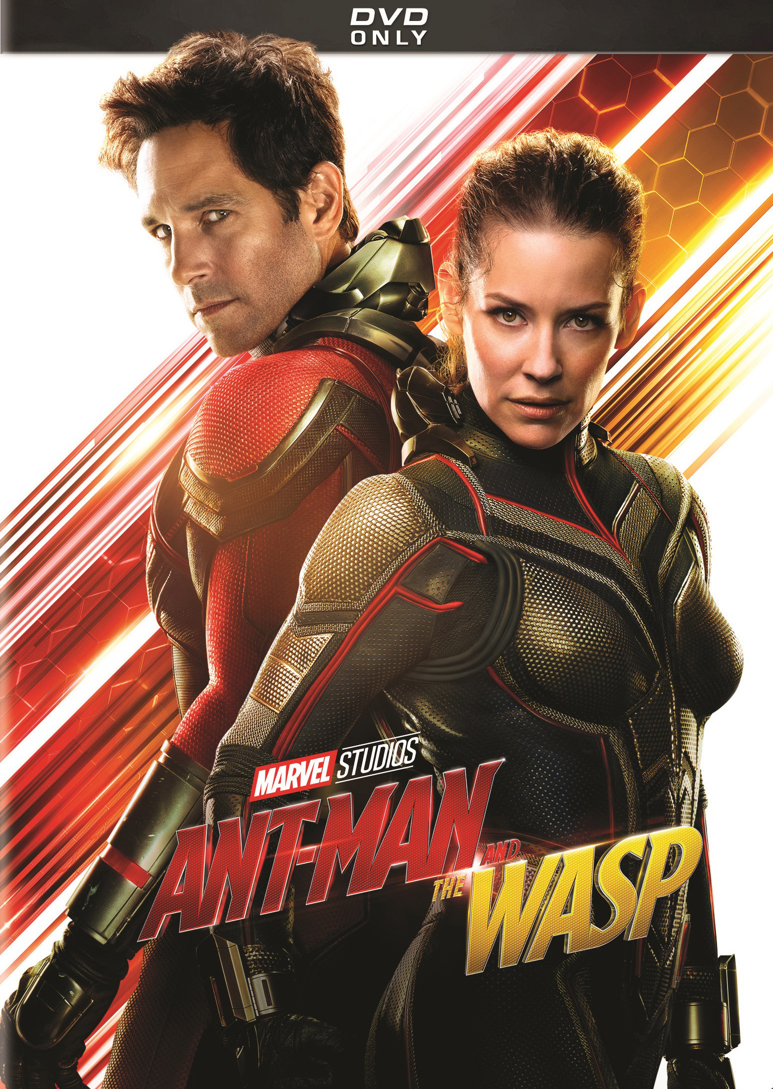 Ant Man And The Wasp [dvd] [2018] Best Buy