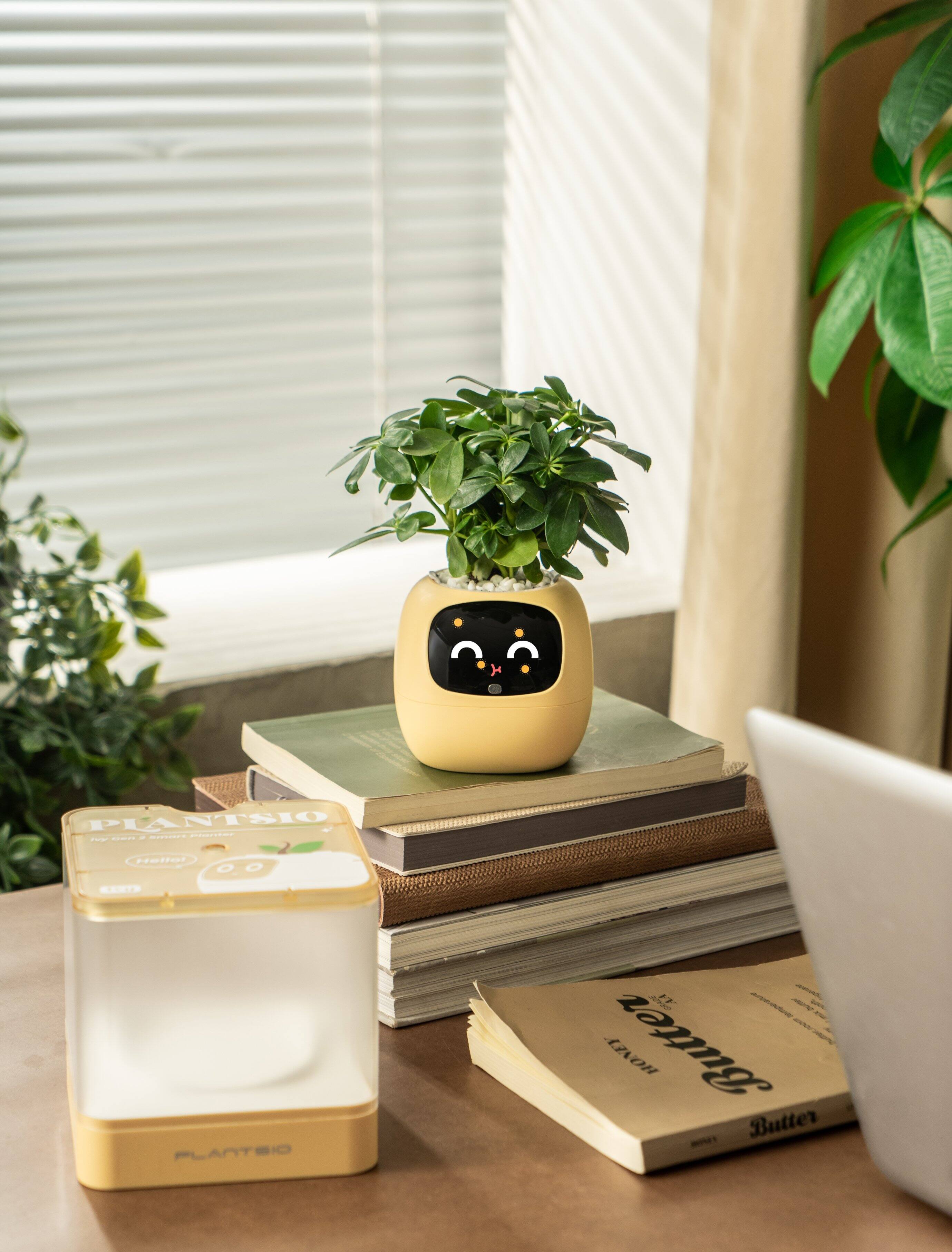 PLANTSIO  
PLANTSIO  
PLANTSIO  
PLANTSIO  
PLANTSIO  
PLANTSIO  
PLANTSIO  
PLANTSIO  
PLANTSIO  
PLANTSIO  
PLANTSIO  
PLANTSIO  
PLANTSIO  
PLANTSIO  
PLANTSIO  
PLANTSIO  
PLANTSIO  
PLANTSIO  
PLANTSIO  
PLANTSIO  
PLANTSIO  
PLANTSIO  
PLANTSIO  
PLANTSIO  
PLANTSIO  
PLANTSIO  
PLANTSIO  
PLANTSIO  
PLANTSIO  
PLANTSIO  
PLANTSIO  
PLANTSIO  
PLANTSIO  
PLANTSIO  
PLANTSIO  
PLANTSIO  
PLANTSIO  
PLANTSIO  
PLANTSIO  
PLANTSIO  
PLANTSIO  
PLANTSIO  
PLANTSIO  
PLANTSIO  
PLANTSIO  
PLANTSIO  
PLANTSIO  
PLANTSIO  
PLANTSIO  
PLANTSIO  
PLANTSIO  
PLANTSIO  
PLANTSIO  
PLANTSIO  
PLANTSIO  
PLANTSIO  
PLANTSIO  
PLANTSIO  
PLANTSIO  
PLANTSIO  
PLANTSIO  
PLANTSIO  
PLANTSIO  
PLANTSIO  
