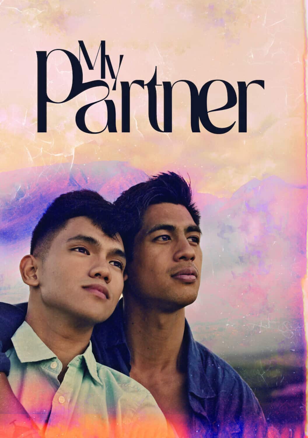 My Partner  - DVD