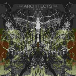 Architects - Ruin - VINYL LP