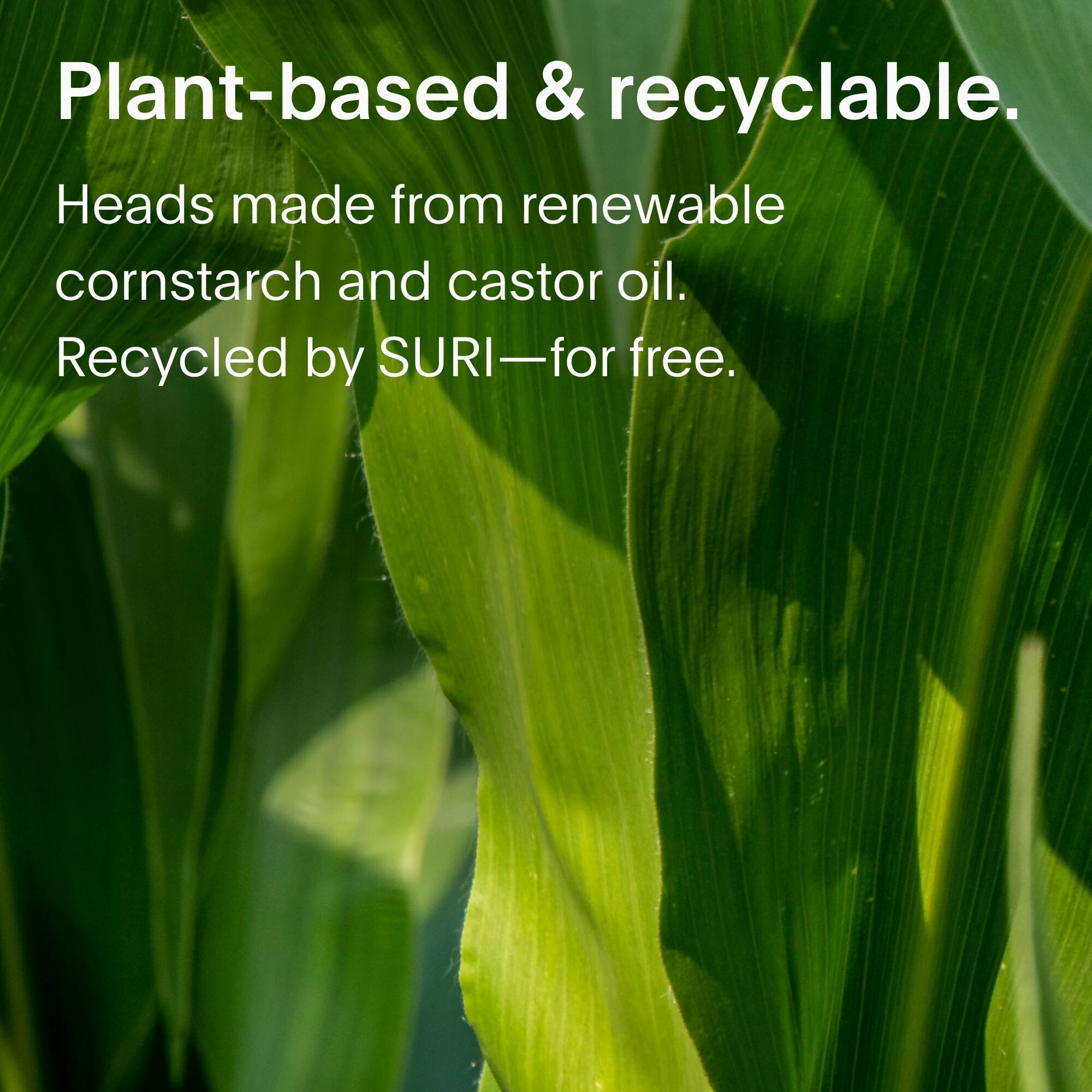 Plant-based & recyclable. Heads made from renewable cornstarch and castor oil. Recycled by SURI - for free.